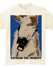 express the moment