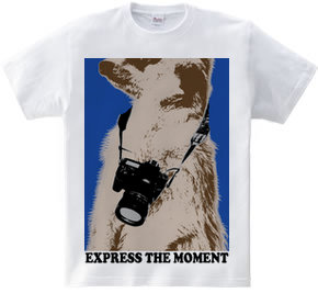 express the moment