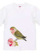 love bird - flower