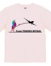 From TOHOKU MIYAGI