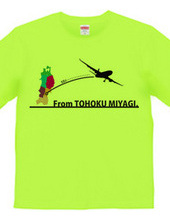 From TOHOKU MIYAGI
