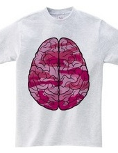 Brain (pink)