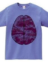 Brain (pink)