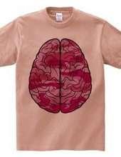 Brain (pink)