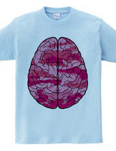 Brain (pink)