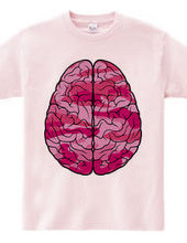 Brain (pink)