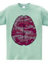 Brain (pink)