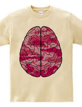 Brain (pink)