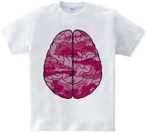 Brain (pink)