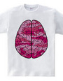 Brain (pink)