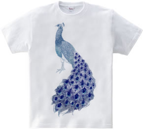 peacock [A]