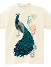 peacock [B]