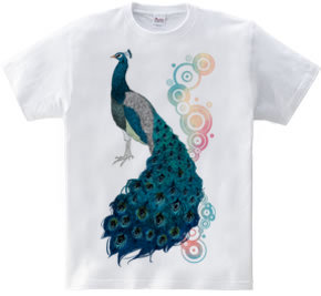 peacock [B]