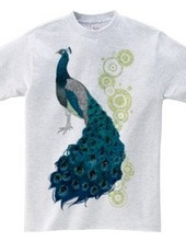 peacock [C]