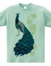 peacock [C]