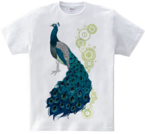 peacock [C]