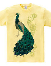 peacock [C]