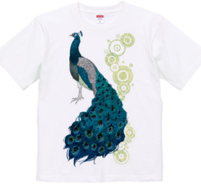 peacock [C]