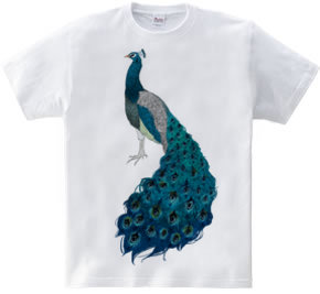 peacock [D]