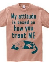 my attitude is ...