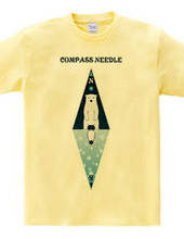 compass needle