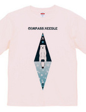 compass needle