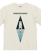 compass needle