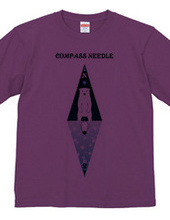 compass needle