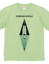 compass needle