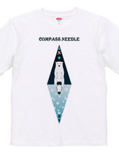 compass needle