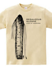 Oarfish regalecus glesne vertical versio