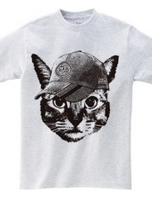 Baseball Cat