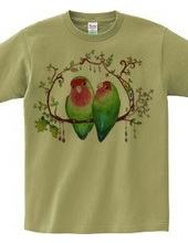 Peach-faced Lovebird