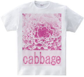 cabbage