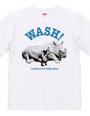 Animal Wash A1