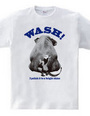 Animal Wash B1