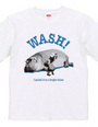 Animal Wash C1