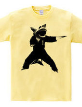 Shark shark karate