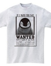 ANIMAL WANTED-A