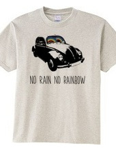 NO RAIN NO RAINBOW 