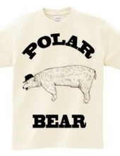 POLAR BEAR