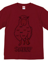 SHEEP