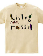 Living Fossil