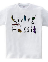 Living Fossil