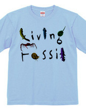 Living Fossil