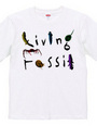 Living Fossil