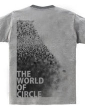 the world of circle.