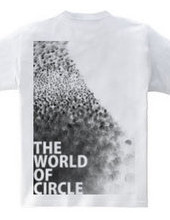 the world of circle.