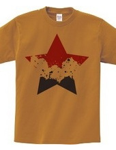 SIMPLE STAR (tricolor)