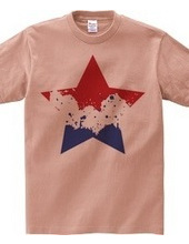 SIMPLE STAR (tricolor)